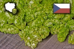 Хмель ароматный SAAZ (Жатецкий шишки) 