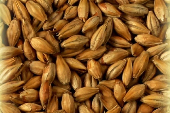 Солод ячменный Cara Clair Castle Malting