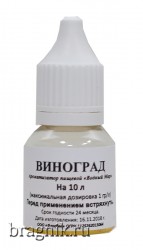 Ароматизатор Виноград