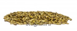Солод ячменный Munich type 2 Viking Malt