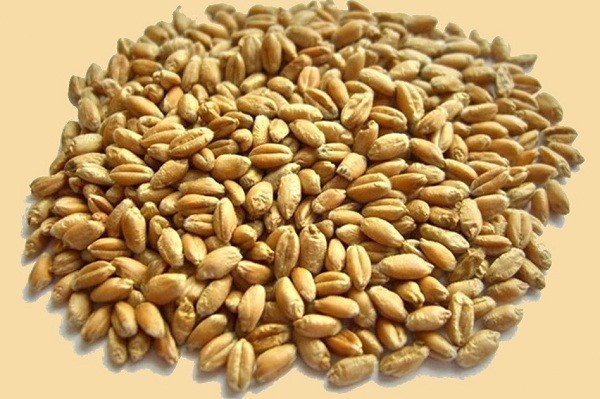 Солод пшеничный Viking Malt